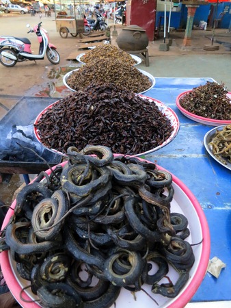 Fried insects and snakes for sale, Banlung, Cambodiaの写真素材