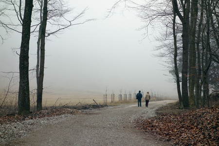 two unrecognizable Persons hiking along a foggy pathの写真素材