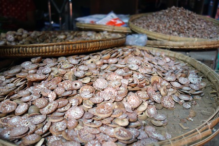 Betel Nuts in Baskets, Myanmarの写真素材
