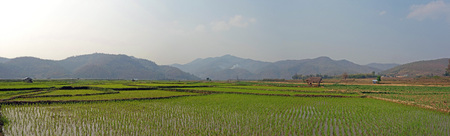 terraced rice fields in the mountains of shan state, next to kyaukme, Myanmarの写真素材