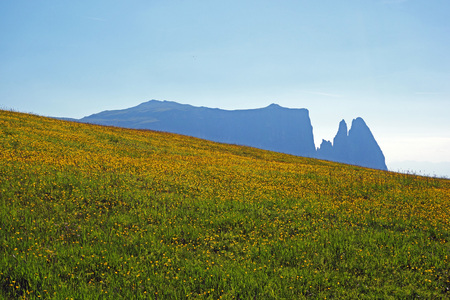 Mount Schlern on the Seiser Almの写真素材