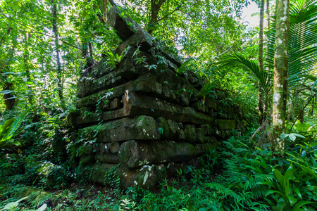 Town walls overgrown in jungle, Nan Madol - prehistoric ruined stone city built of basalt slabs. Ancient walls were built on coral artificial islands in the lagoon of Pohnpei, Micronesia, Oceania.の写真素材
