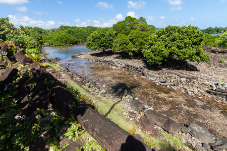 Walls and canals of Nandowas part of Nan Madol - prehistoric ruined stone city built on islands and canals, overgrown with palms. Pohnpei, Micronesia, Oceania. Shadow of a palm tree on the water.の写真素材