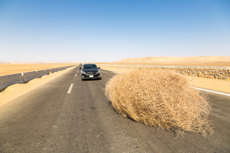 A car stopped by a giant tumbleweed on a highway with sandy dunes, between Bahariya oasis and Farafra, Western Desert of Egypt, between Giza governorate and New Valleyのeditorial素材