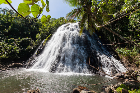 Kepirohi Waterfall in a jungle with palm trees around, near Nan Madol ruins, Pohnpei island, Federated states of Micronesia, Oceania.の写真素材