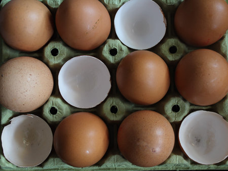 eggs nutrition food shell hen clear yolk