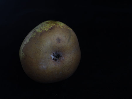 pear fruit delicious fruit flavor fruit natural biological vitaminの写真素材