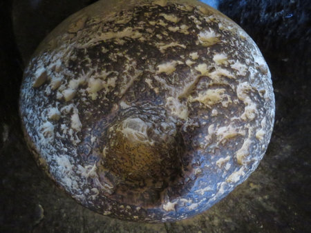 beautiful stone bullets cannons ammunition ancient war spheresの写真素材