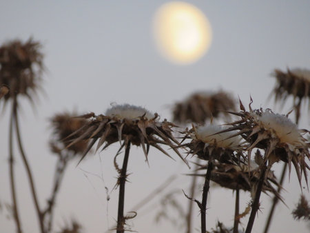 beautiful moon satellite far away big night cratersの写真素材
