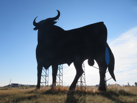 Beautiful banner in the shape of a large, black bull.の写真素材