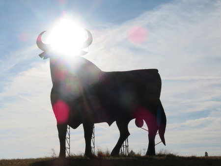 Beautiful banner in the shape of a large, black bull.の写真素材