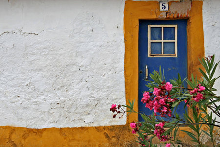 Old Doorの写真素材