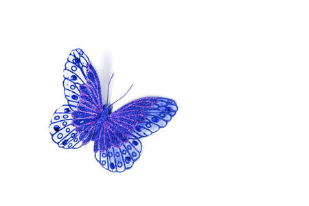 blue butterfly isolated in white backgroundの写真素材