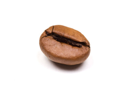 Single Coffee bean isolated on white background. landscape orientation.の写真素材