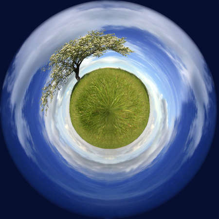 spring landscape in a sphere with a lonely tree - environmental conceptの写真素材