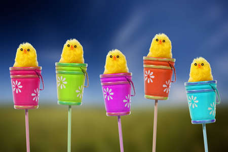 easter background with  yellow baby chicks inside colorful buckets - landscape orientationの写真素材