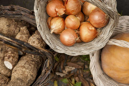 Typical vime baskets with onions and other vegetables - agriculture ingredientsの写真素材