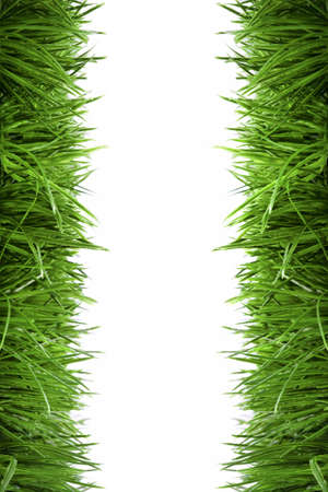 frame background with green grass isolated on white backgroundの写真素材