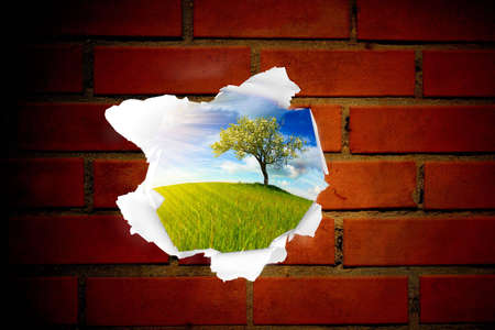 summer landscape behind brick wall holeの写真素材