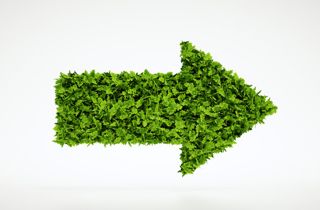 Isolated 3d render natural arrow symbol with white backgroundの写真素材
