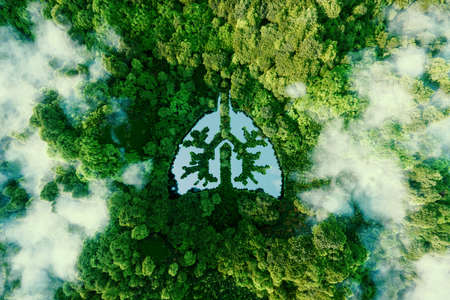 A metaphorical picture of the lungs of planet earth. An icon in the form of a lung-shaped pond in the middle of a wild, pristine and untouched forest. 3d rendering.の写真素材