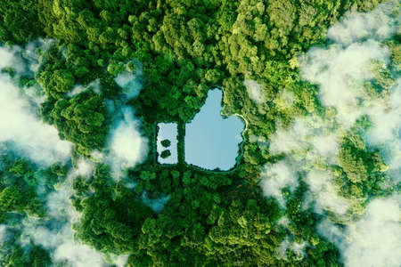 Thumbs up icon - like icon in the form of a clear pond in the middle of a lush virgin forest. 3d rendering.の写真素材
