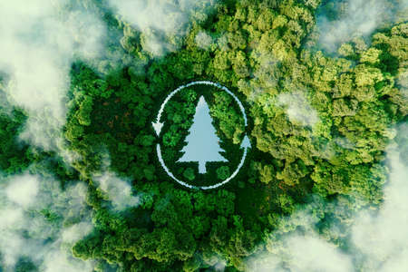 A tree-shaped lake in the midst of healthy and lush nature serving as a metaphor for sustainable logging. 3d renderingの写真素材