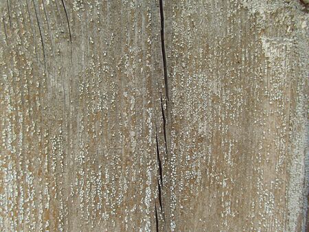 Old and peeled creaky paint , In course of time the paint of white tone peeled off the old planks and crackled, wood texture, background, colorful, cracks in the paint, vintage, abstract, grunge,の写真素材
