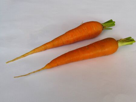 Carrot. Two vegetables on white backgroundの写真素材