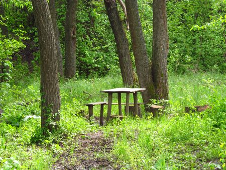 Old table in the valley near the river, trees and green plants, nature, a beautiful beautiful day, a place near the spring, the village of Zaluzhya, Ukraine.の写真素材