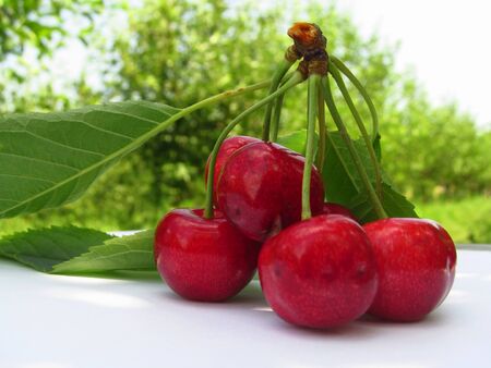 fresh red cherries on a wooden tableの写真素材