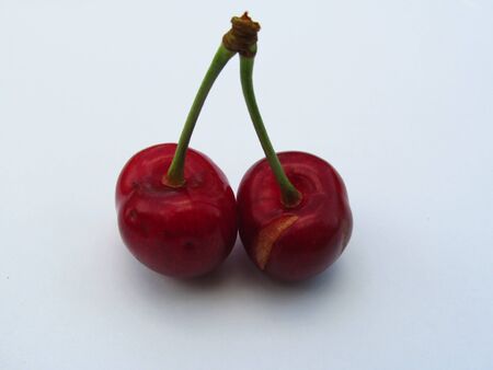 Red cherries on a white backgroundの写真素材