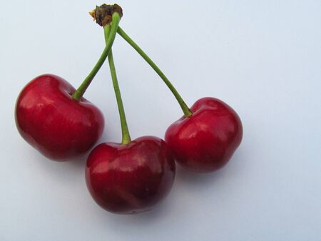Red cherries on a white backgroundの写真素材