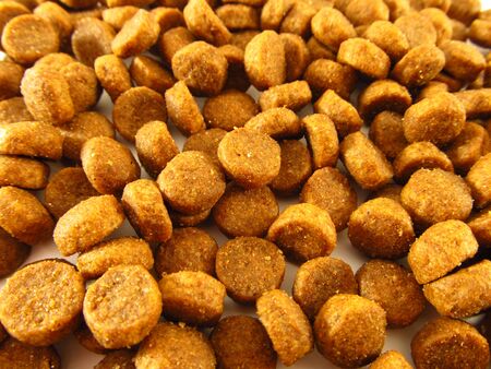 A bunch of dry food for pups and cats. Background texture of food for petsの写真素材