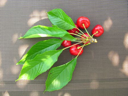 fresh red cherries on a wooden tableの写真素材