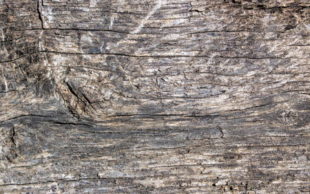Old wood texture Grunge retro vintage wooden board Dusty Background