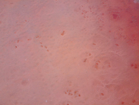 Pink background, view of tears and water on a pink lake in Ukraine.