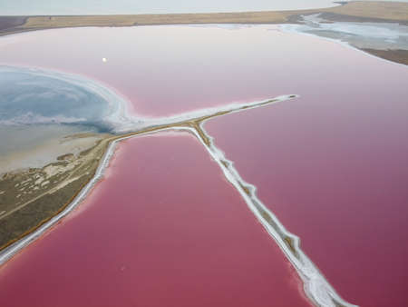 Pink lake and swamp top view.の写真素材