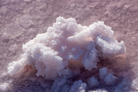 A large pink salt crystal formed on the shores of a salty pink lake in Australia, the lake is pink...