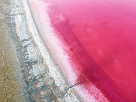 Top view of a pink lake and the shore is covered with a rough layer of salt.