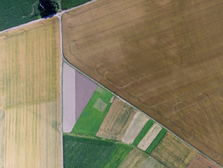 Different in size agricultural land, top view of geometric shapes from crops