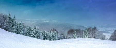 panorama of snowy mountain slope with Christmas trees on a background of mountains and blue skyの写真素材