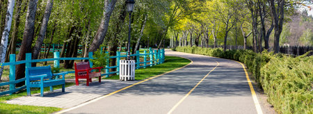 Walkway through the park, benches for relaxation. Beautiful spring nature. Panorama of the spring...