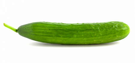 Long green cucumber isolated on white background. Fresh vegetablesの写真素材