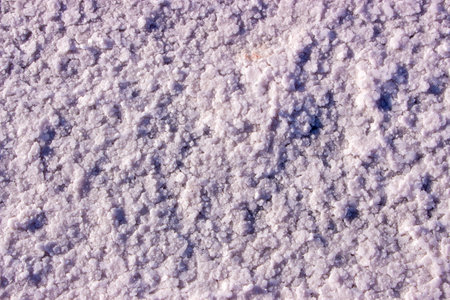 Salt crystals on a pink salt lake. Texture of salt crystalsの写真素材