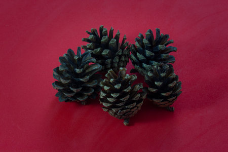 Pine cones on a red background