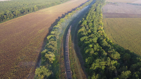 A long train with wagons travels by rail, a view from a drone on rail freight and nature