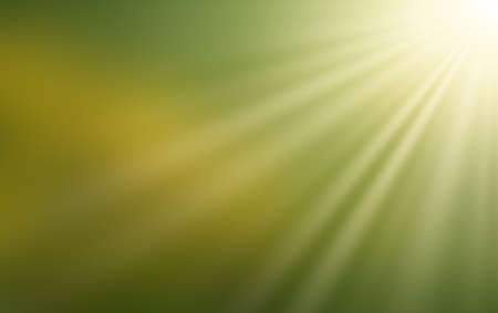 Yellow dandelions in the sun. Bright sunlight on a clear spring dayの写真素材