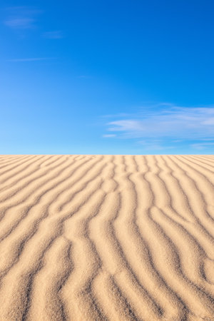 It's a serene moment where the textured earth meets the boundless blue skyの素材