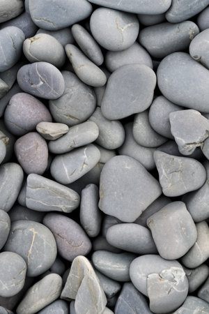 Against this backdrop, designs and elements gain a timeless and neutral canvasの素材